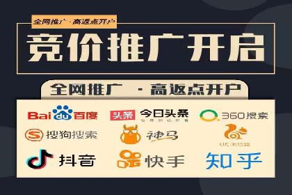 百度竞价赚钱的技巧与成功案例探讨